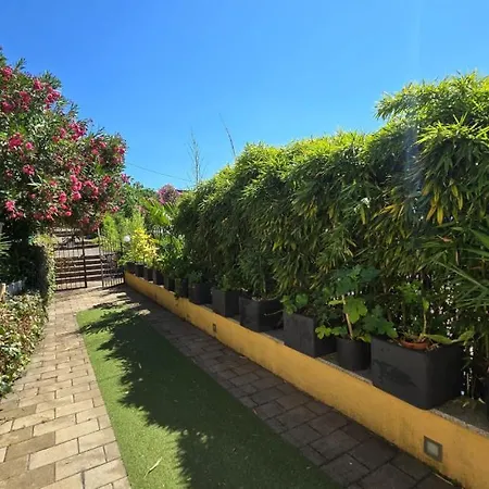 Marijana By Guide * Breza